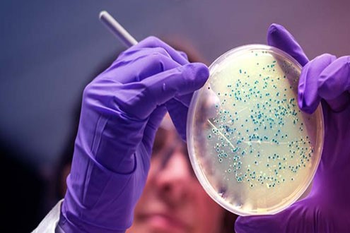 5-Amino-1MQ Cost | Shaanxi BLOOM Tech Co., Ltd 5-Amino-1MQ Cost | Shaanxi BLOOM Tech Co., Ltd