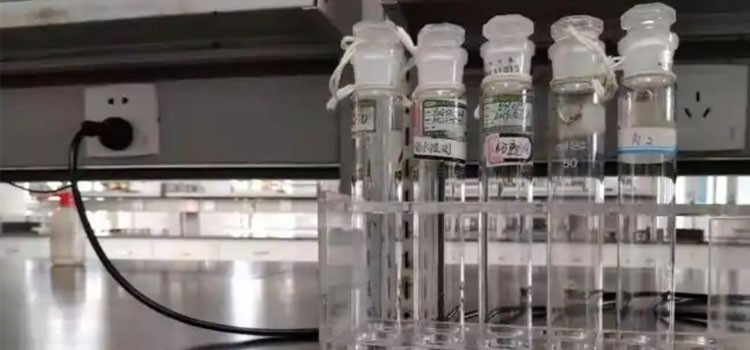 5-Amino-1MQ Factory | Shaanxi BLOOM Tech Co., Ltd 5-Amino-1MQ Factory | Shaanxi BLOOM Tech Co., Ltd